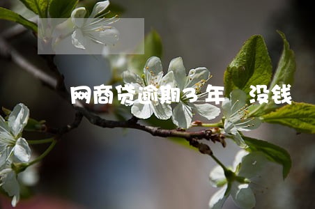 网商贷逾期3年 没钱 哎 网商贷逾期3年 没钱 哎